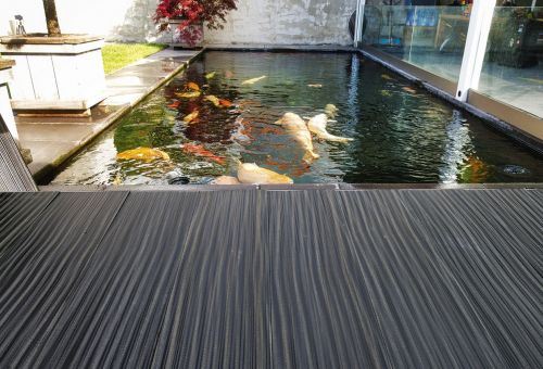 DYNUM – odolná krása