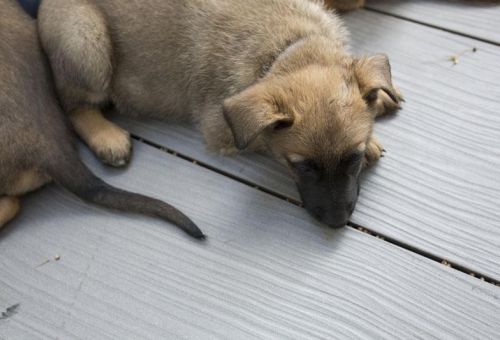 PREMIUM PLUS extra třída