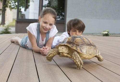 SIGNUM se zárukou unikátnosti