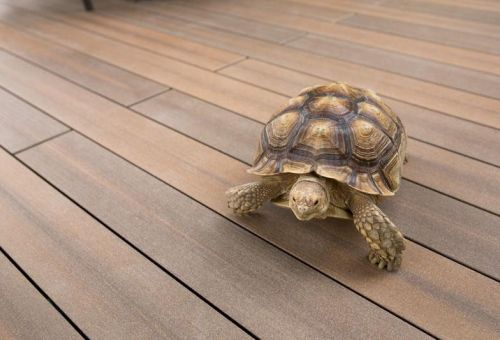 SIGNUM se zárukou unikátnosti