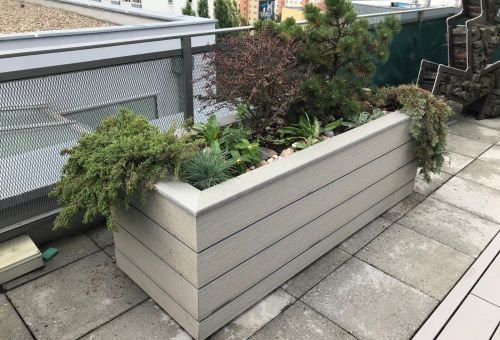 Květník Velký s límcem od Kasperia